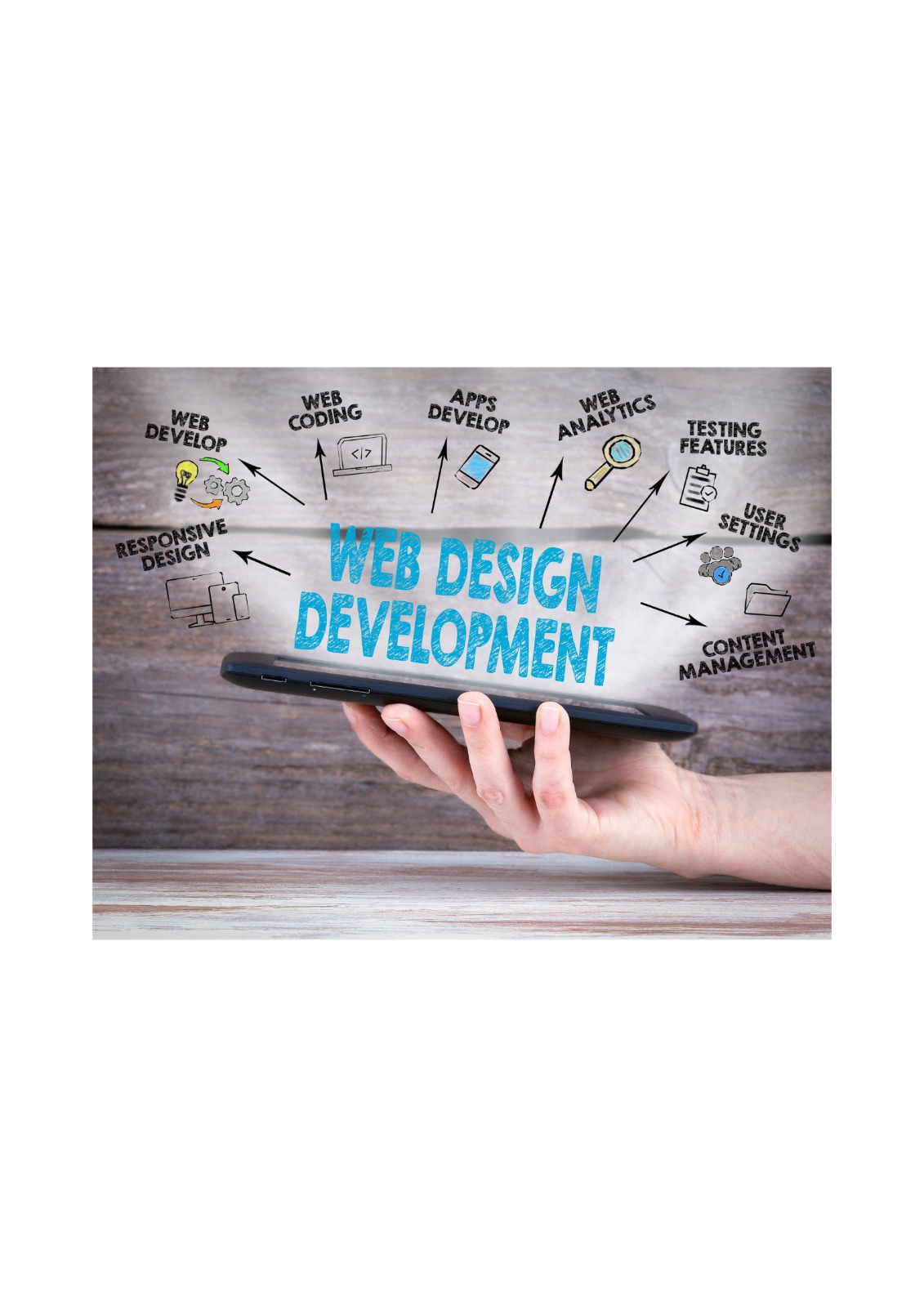 Web development